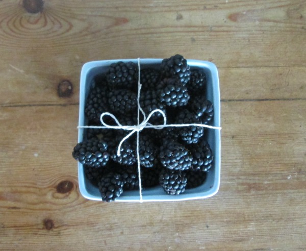blackberriestop